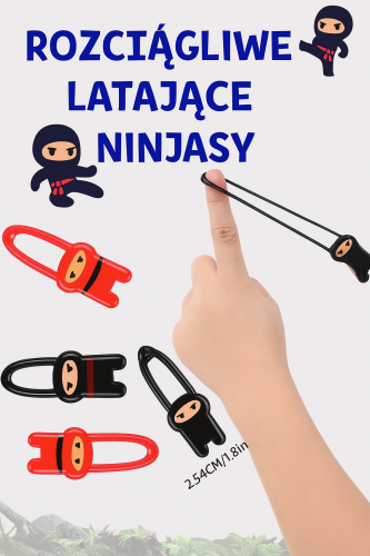 ninja1.png