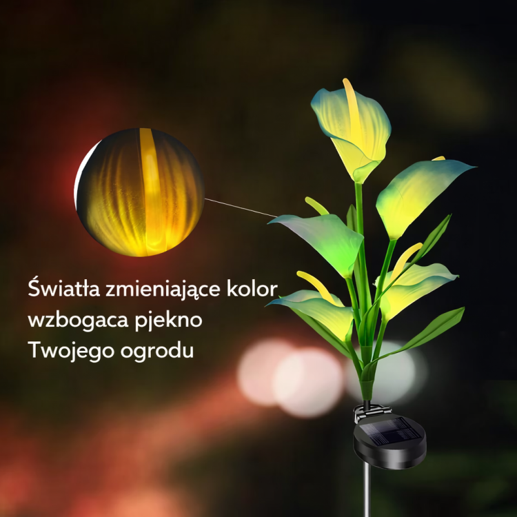 ledkaliaswiatlo.png